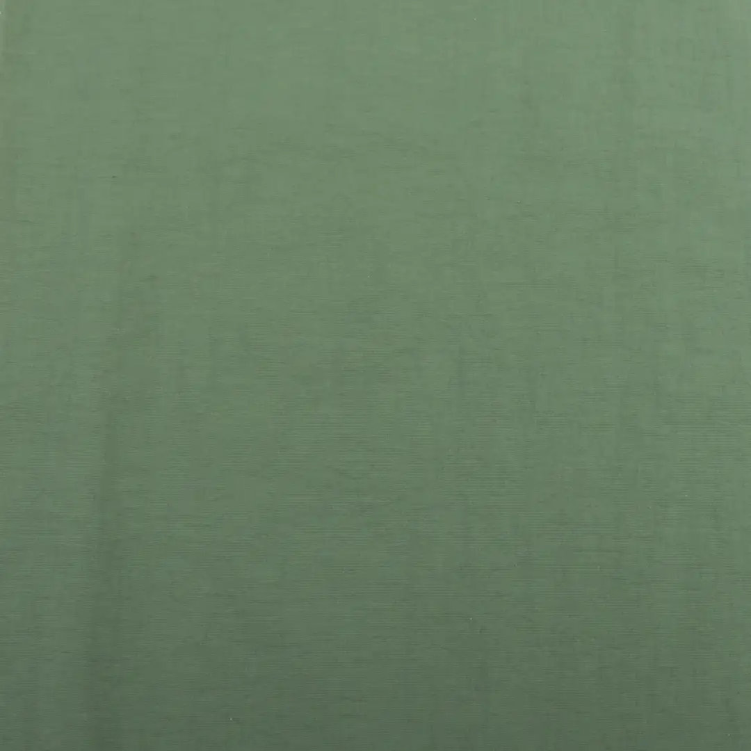 China Fabric for Skirt,Jogger,Light Jacket Nylon Crepe Synthetic Woven Fabric Nylon Green color buy from China wholesaler bulk order at wholesale price free worldwide shipping Alibaba
