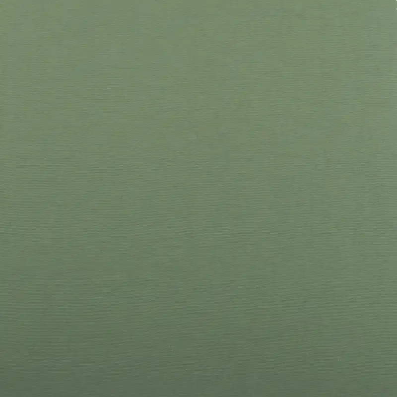 China Fabric for Shirt,Pants,Skirt,Shorts,Jogger,Trench Coat,Overcoat Nylon Taslon Synthetic Woven Fabric Nylon light green color buy from China wholesaler bulk order at wholesale price free worldwide shipping Alibaba
