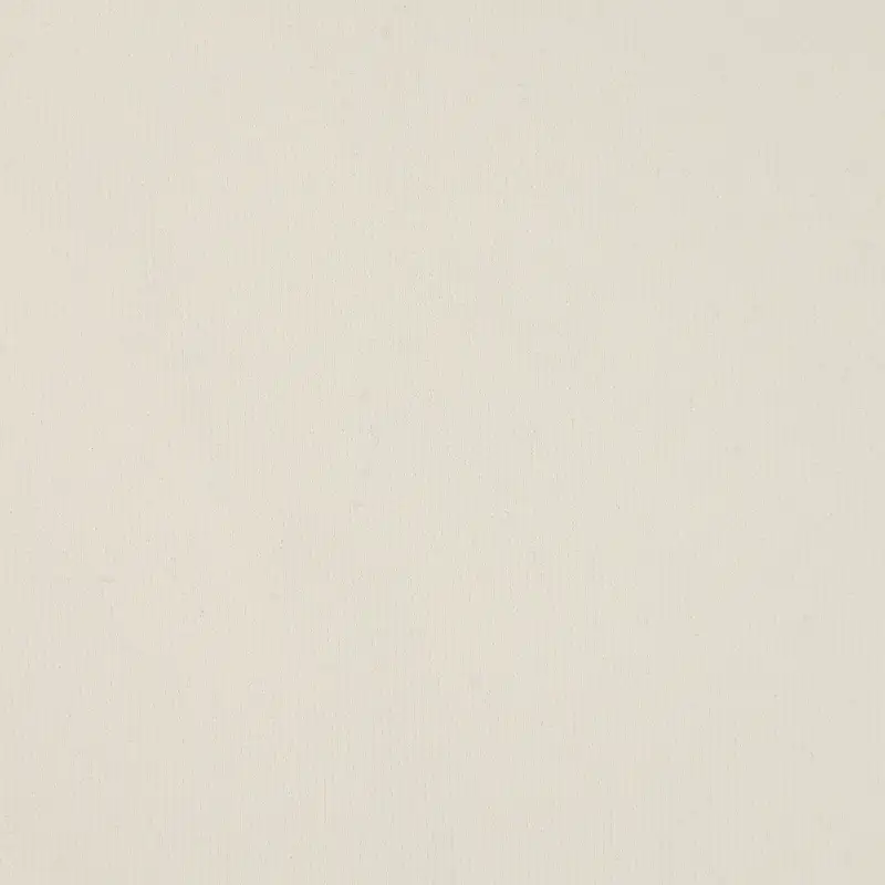 China Fabric for T-Shirt,Polo Shirt,Loungewear Interlock Knit Fabric Polyester Milky white color buy from China wholesaler bulk order at wholesale price free worldwide shipping Alibaba