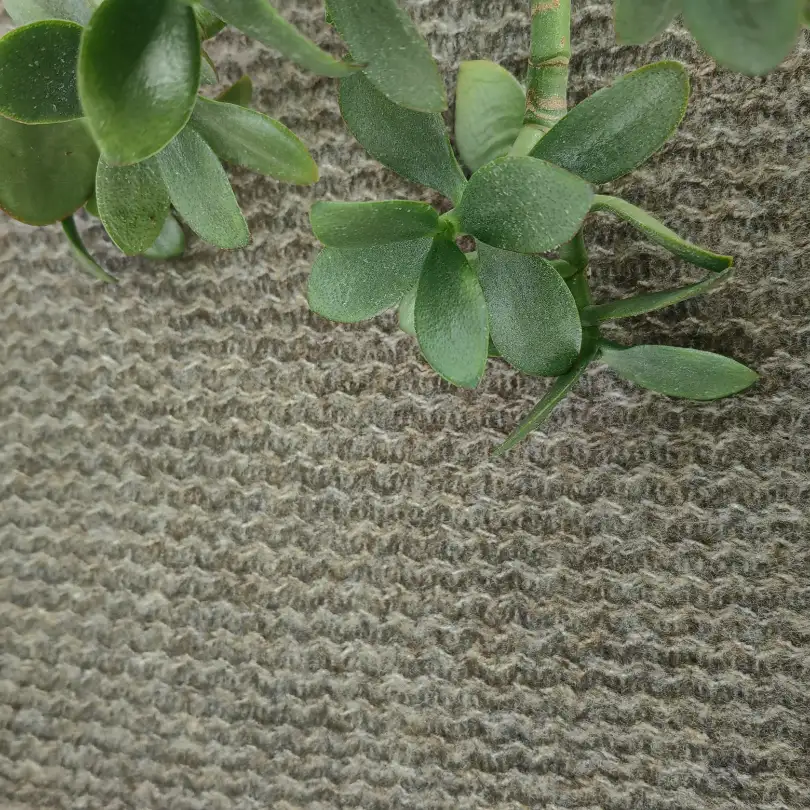 China Yarn for Hoodie,Trench Coat,Open Cardigan (Sweater),Round Neck Pullover (Sweater) Mossy Yarn Fancy Yarn Acrylic Polyester Wool Elastane CAMEL color buy from China wholesaler bulk order at wholesale price free worldwide shipping Alibaba