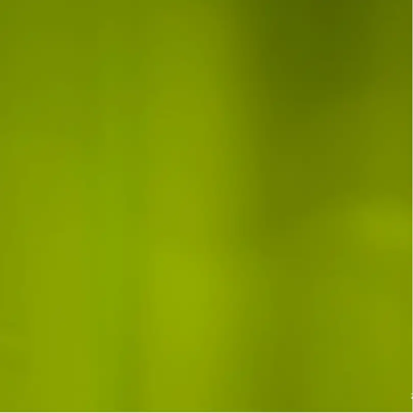 China Fabric for Jackets,Padded Jacket,Uniform Polyester Pongee Synthetic Woven Fabric Recycled Polyester 10荧光色 color buy from China wholesaler bulk order at wholesale price free worldwide shipping Alibaba