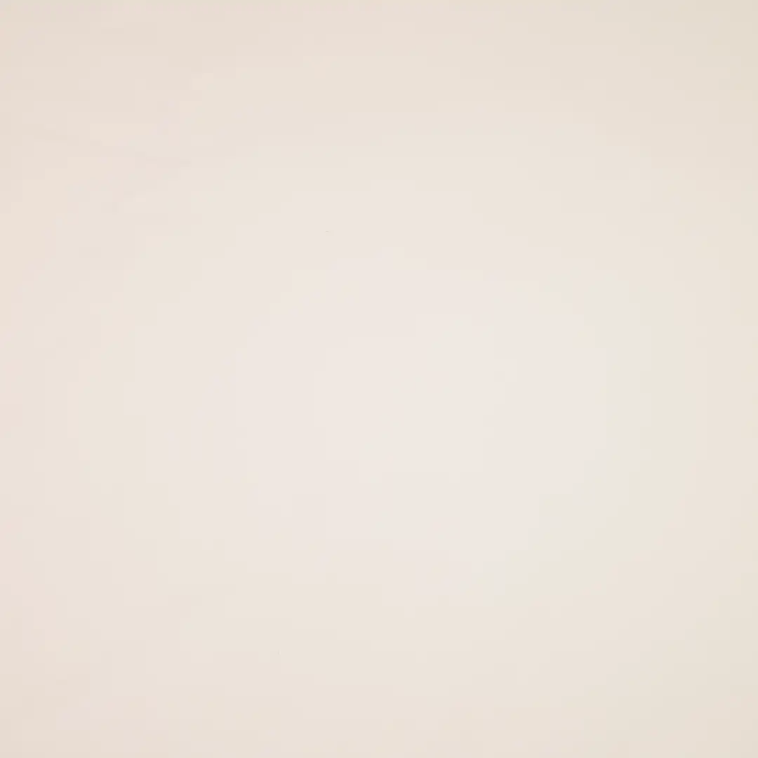 China Fabric for Shirt,Shorts,Jogger,Shirt Long Sleeve Button  Four-way Stretch (Bi-Stretch) Woven Blended Fabric Nylon Spandex Bisque color buy from China wholesaler bulk order at wholesale price free worldwide shipping Alibaba