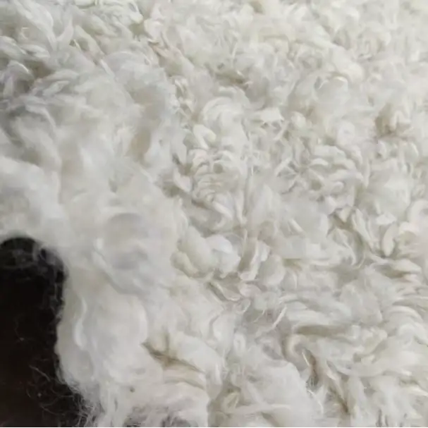 China Fabric for Jackets,Hoodie,Overcoat Tricot Brush Knit Fabric Polyester beige color buy from China wholesaler bulk order at wholesale price free worldwide shipping Alibaba