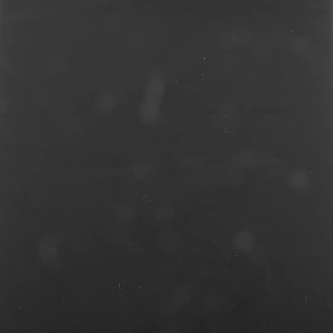 China Fabric for Shirt,Down Jacket,Interlining Polyester Pongee Synthetic Woven Fabric Polyester BLACK WHITE color buy from China wholesaler bulk order at wholesale price free worldwide shipping Alibaba