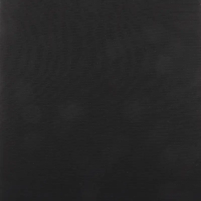 China Fabric for Pants Polyester Mountaineering Fabric Synthetic Woven Fabric Polyester Spandex BLACK color buy from China wholesaler bulk order at wholesale price free worldwide shipping Alibaba