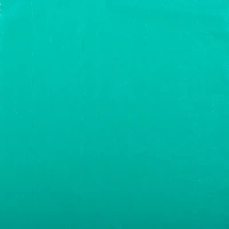 China Fabric for Yoga Clothes,Sports Bras Single Jersey Knit Fabric Nylon Elastane green color buy from China wholesaler bulk order at wholesale price free worldwide shipping Alibaba