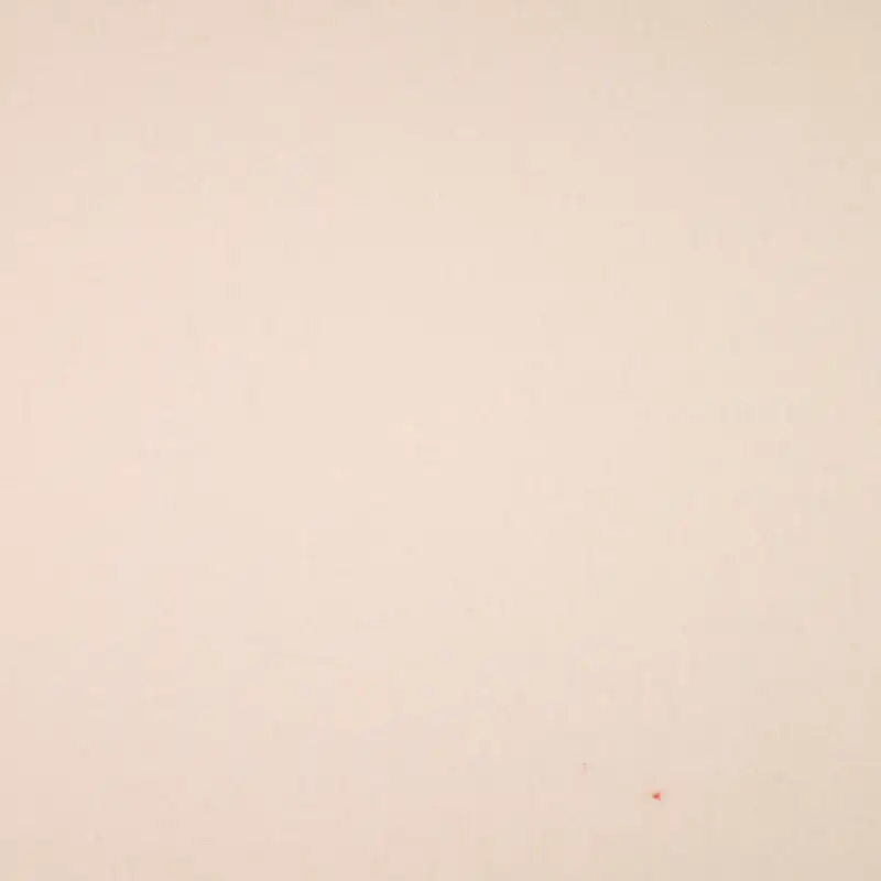 China Fabric for Pants,Jackets,Hoodie Polar Fleece Knit Fabric Polyester Beige color buy from China wholesaler bulk order at wholesale price free worldwide shipping Alibaba