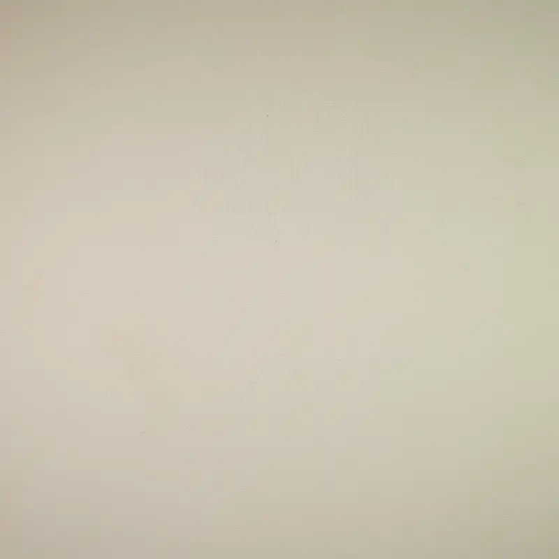 China Fabric for Shirt,Interlining Bengaline Synthetic Woven Fabric Polyester White color buy from China wholesaler bulk order at wholesale price free worldwide shipping Alibaba