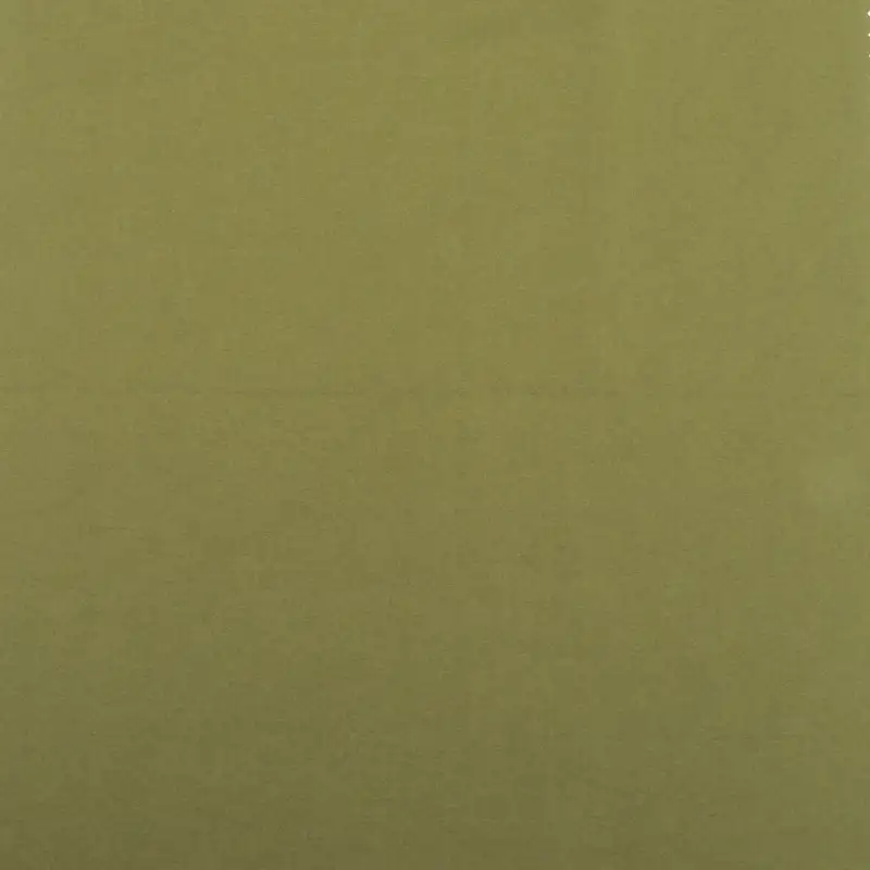 China Fabric for Jackets,Trench Coat,Down Jacket,Padded Jacket Nylon/Polyester Chameleon Woven Blended Fabric Polyester Polyamide GREEN color buy from China wholesaler bulk order at wholesale price free worldwide shipping Alibaba