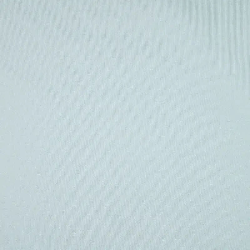 China Fabric for Ladies Vest ,Men’s Vest ,T-shirt ,Polo T-shirt  Ponte Roma Knit Fabric Rayon Poly Lactic Acid（PLA) light blue color buy from China wholesaler bulk order at wholesale price free worldwide shipping Alibaba