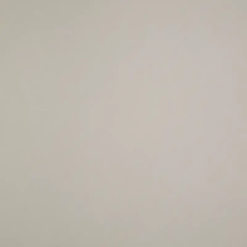 China Fabric for Jackets,Overcoat,Waist coat,Open Waistcoat PU bonded sherpa Synthetic Woven Fabric Polyurethane----PU grey color buy from China wholesaler bulk order at wholesale price free worldwide shipping Alibaba