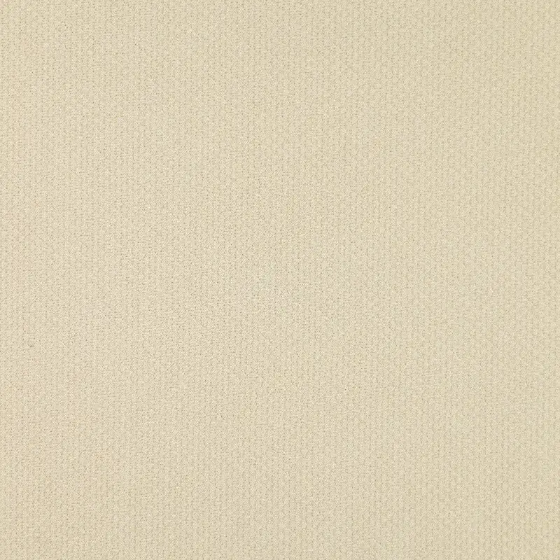 China Fabric for Jackets,Loungewear Jacquard Knit Fabric Polyester Rayon Spandex Beige color buy from China wholesaler bulk order at wholesale price free worldwide shipping Alibaba